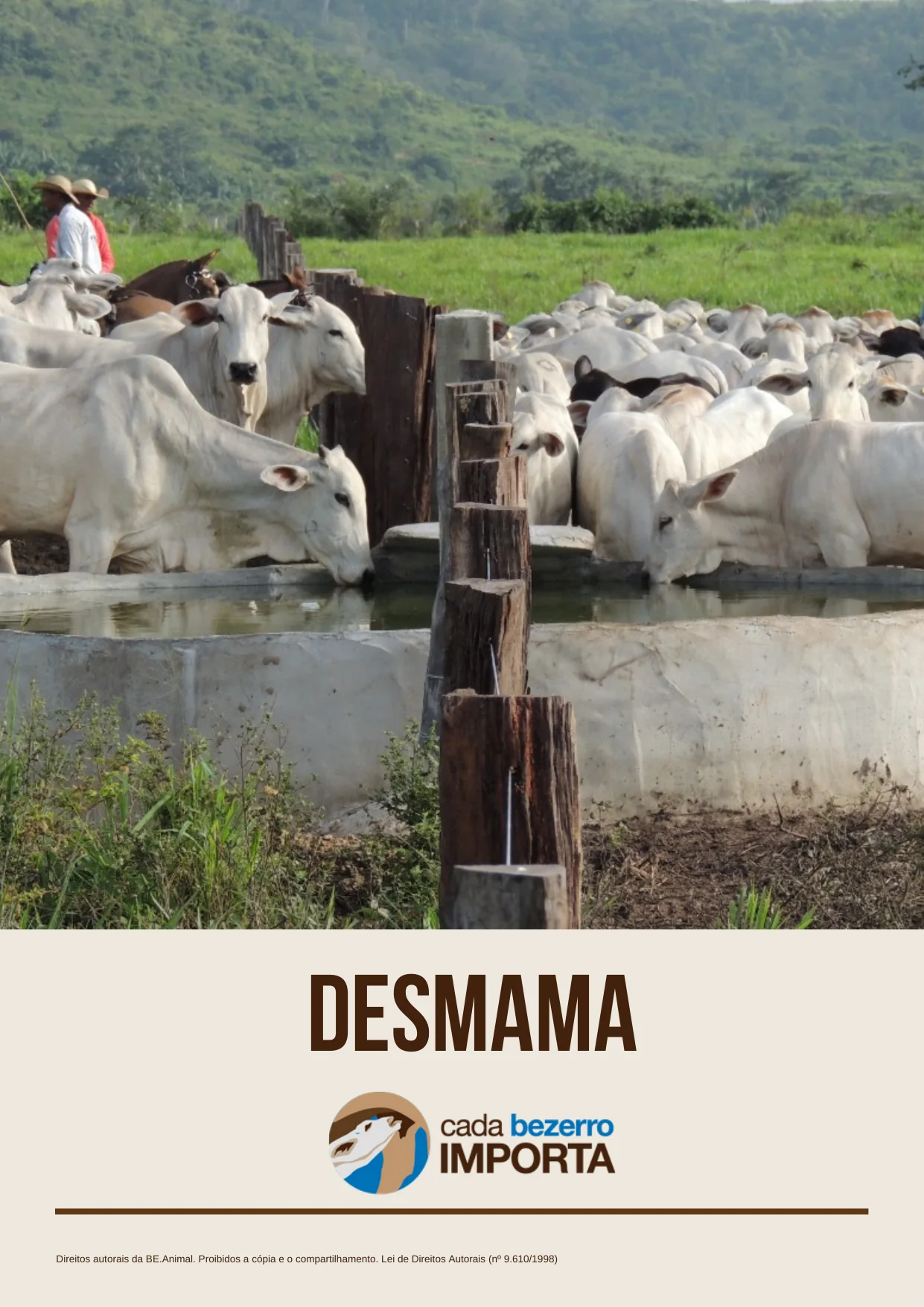 Página do guia sobre desmama