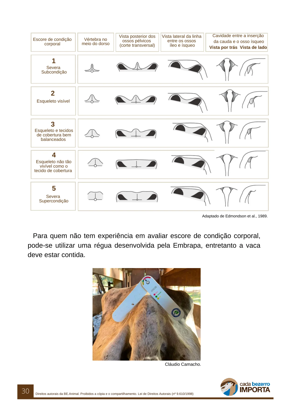 Página do guia com a tabela ilustrada de escore de condição corporal